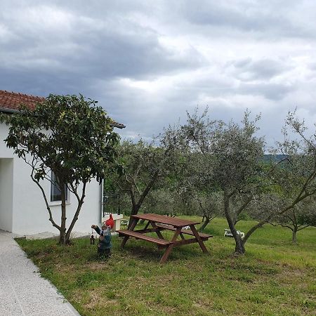 Apartma Zdenko Izola Exteriör bild